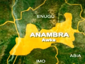BREAKING: Anambra Assembly Suspends Lawmaker Over Social Media Posts