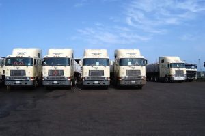 Dangote Truck Salary, Worst Truck Accident in History, Cement Capacity & Common Accident Causes