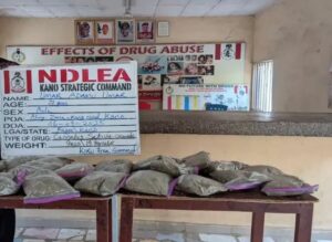 Airport Officials Arrested for Planting Drugs in Pilgrims’ Bags