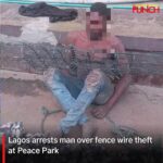 Lagos arrests man over fence wire theft at Peace Park