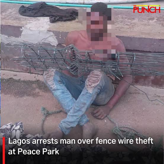 Lagos arrests man over fence wire theft at Peace Park