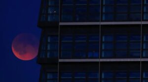 Blood Moon Captivates Sky-Watchers During Lunar Eclipse