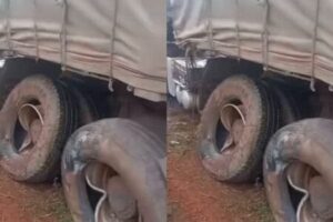 Dangote Truck Accident in Enugu: Family and Others Feared Dead