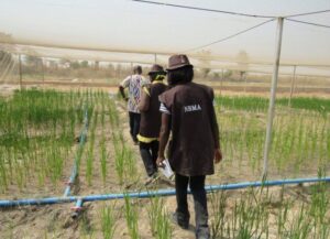 The Federal Government to Begin Labelling of Genetically Modified (GM) Crops for Transparency and Public Confidence 9 The Federal Government to Begin Labelling of Genetically Modified (GM) Crops for Transparency and Public Confidence