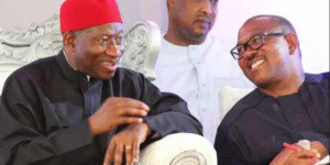 2027: Jonathan 100% Qualified, Ex-President’s Cousin Tells Keyamo, Odinkalu 8 2027: Jonathan 100% Qualified, Ex-President’s Cousin Tells Keyamo, Odinkalu
