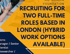 Mo Ibrahim Foundation Academy Fellowship at Chatham House